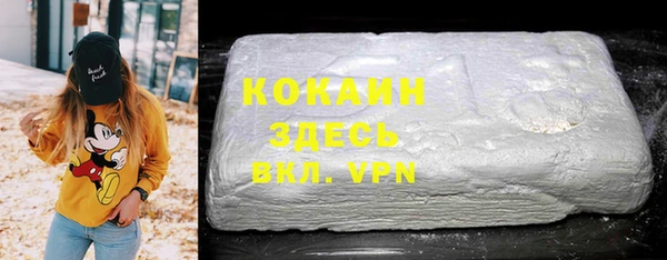 стафф Елизово