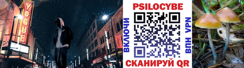 Галлюциногенные грибы Cubensis  купить   Печора 